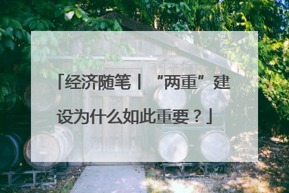 经济随笔丨“两重”建设为什么如此重要？