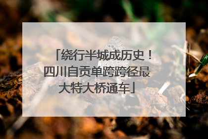 绕行半城成历史！四川自贡单跨跨径最大特大桥通车