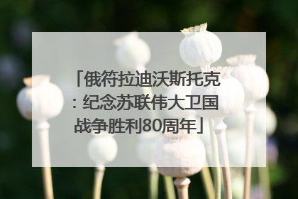 俄符拉迪沃斯托克：纪念苏联伟大卫国战争胜利80周年