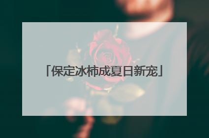 保定冰柿成夏日新宠
