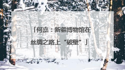 何嘉：新疆博物馆在丝绸之路上“破壁”