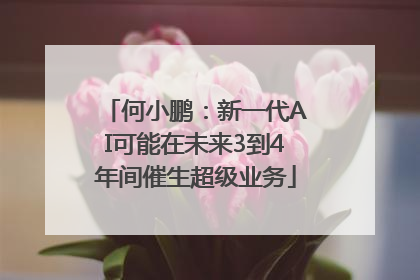 何小鹏：新一代AI可能在未来3到4年间催生超级业务