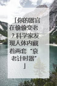 你的器官在偷偷变老？科学家发现人体内藏着两套“衰老计时器”