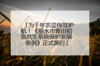 为千年农遗保驾护航！《丽水市青田稻鱼共生系统保护发展条例》正式施行
