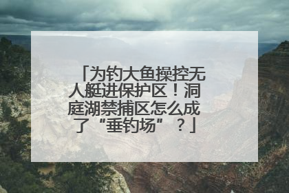 为钓大鱼操控无人艇进保护区！洞庭湖禁捕区怎么成了“垂钓场”？