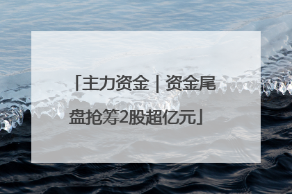 主力资金｜资金尾盘抢筹2股超亿元