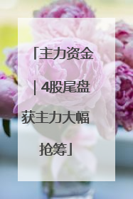 主力资金｜4股尾盘获主力大幅抢筹