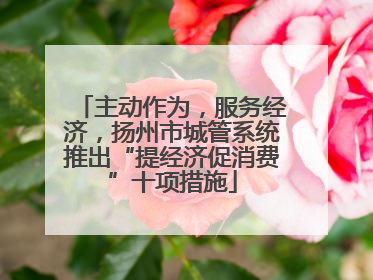 主动作为，服务经济，扬州市城管系统推出“提经济促消费”十项措施
