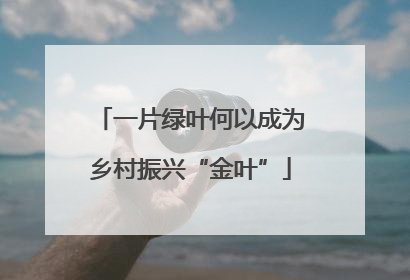 一片绿叶何以成为乡村振兴“金叶”