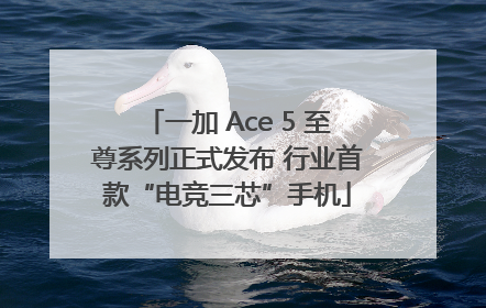 一加 Ace 5 至尊系列正式发布 行业首款“电竞三芯”手机