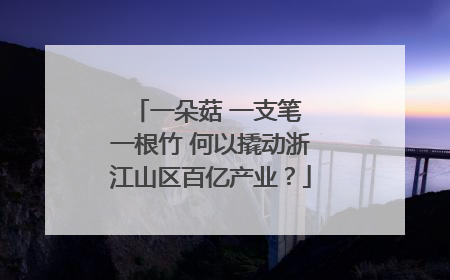 一朵菇 一支笔 一根竹 何以撬动浙江山区百亿产业？