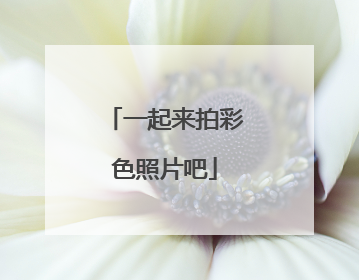 一起来拍彩色照片吧