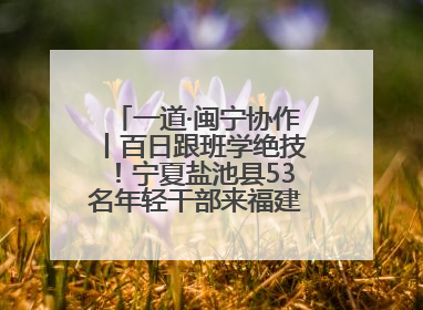 一道·闽宁协作丨百日跟班学绝技！宁夏盐池县53名年轻干部来福建取“真经”