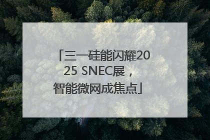 三一硅能闪耀2025 SNEC展，智能微网成焦点