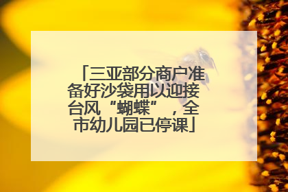三亚部分商户准备好沙袋用以迎接台风“蝴蝶”，全市幼儿园已停课