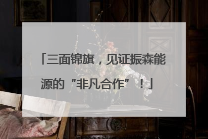 三面锦旗，见证振森能源的“非凡合作”！