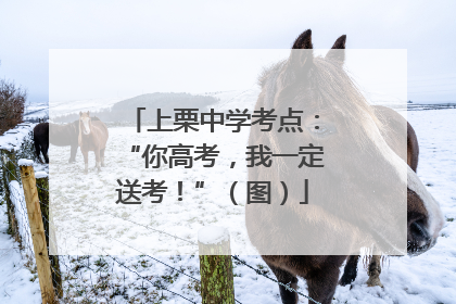 上栗中学考点：“你高考，我一定送考！”（图）