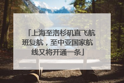 上海至洛杉矶直飞航班复航，至中亚国家航线又将开通一条
