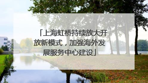 上海虹桥持续放大开放新模式，加强海外发展服务中心建设