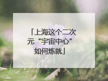 上海这个二次元“宇宙中心”如何炼就