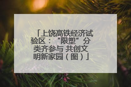 上饶高铁经济试验区：“限塑”分类齐参与 共创文明新家园（图）