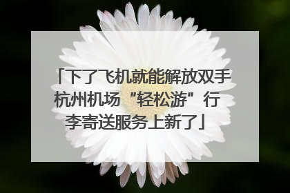 下了飞机就能解放双手 杭州机场“轻松游”行李寄送服务上新了