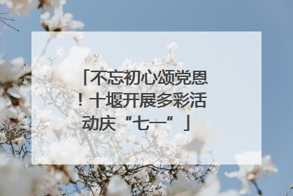 不忘初心颂党恩！十堰开展多彩活动庆“七一”