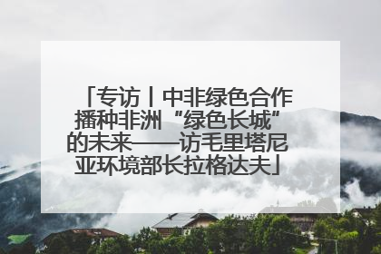 专访丨中非绿色合作播种非洲“绿色长城”的未来——访毛里塔尼亚环境部长拉格达夫