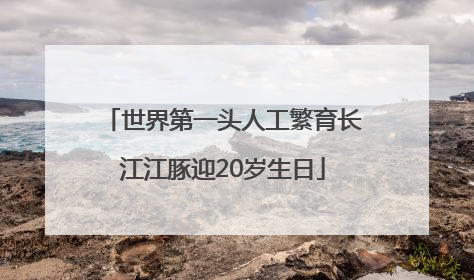 世界第一头人工繁育长江江豚迎20岁生日