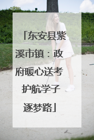东安县紫溪市镇：政府暖心送考 护航学子逐梦路