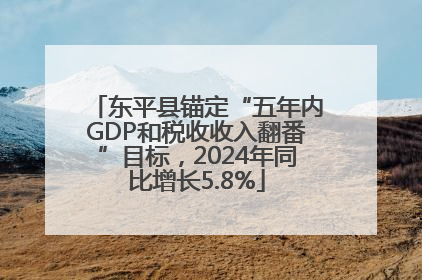 东平县锚定“五年内GDP和税收收入翻番”目标，2024年同比增长5.8%