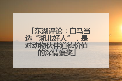 东湖评论：白马当选“湖北好人”，是对动物伙伴道德价值的深情褒奖