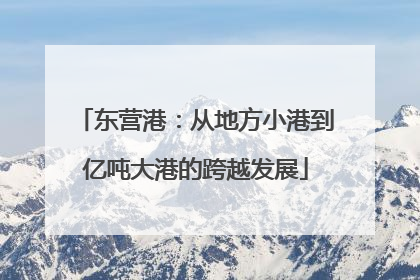 东营港：从地方小港到亿吨大港的跨越发展