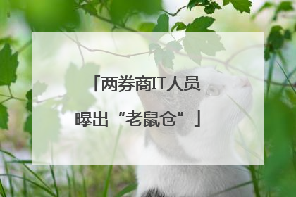 两券商IT人员曝出“老鼠仓”