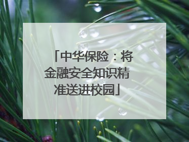 中华保险：将金融安全知识精准送进校园