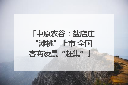 中原农谷：盐店庄“滩桃”上市 全国客商凌晨“赶集”