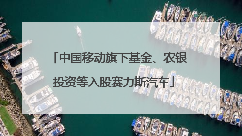 中国移动旗下基金、农银投资等入股赛力斯汽车