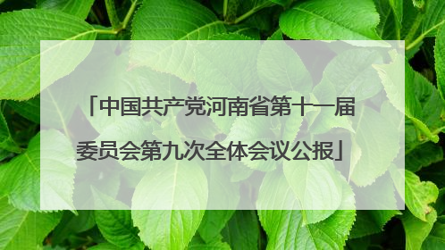 中国共产党河南省第十一届委员会第九次全体会议公报