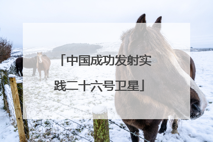 中国成功发射实践二十六号卫星