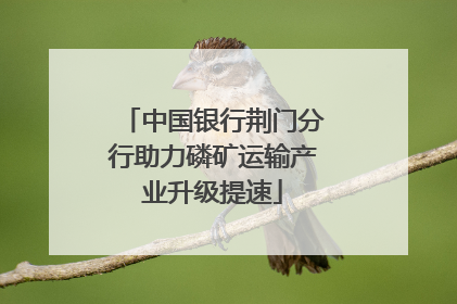 中国银行荆门分行助力磷矿运输产业升级提速