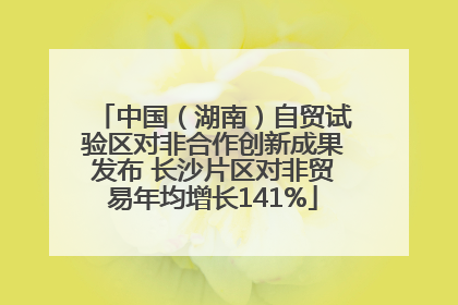 中国（湖南）自贸试验区对非合作创新成果发布 长沙片区对非贸易年均增长141%