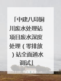 中建八局铜川废水处理站项目废水深度处理（零排放）站全面通水调试