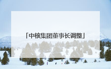 中核集团董事长调整