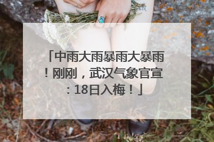 中雨大雨暴雨大暴雨！刚刚，武汉气象官宣：18日入梅！