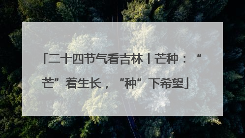 二十四节气看吉林丨芒种：“芒”着生长，“种”下希望