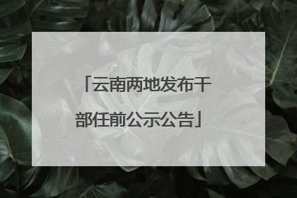 云南两地发布干部任前公示公告