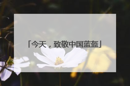 今天，致敬中国蓝盔
