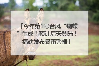 今年第1号台风“蝴蝶”生成！预计后天登陆！福建发布暴雨警报