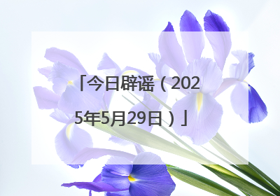 今日辟谣（2025年5月29日）