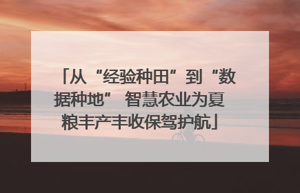 从“经验种田”到“数据种地” 智慧农业为夏粮丰产丰收保驾护航